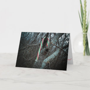 "Alimagnet Candy Cane" Christmas Card