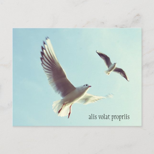 Alis Volat Propriis Postcard (Front)