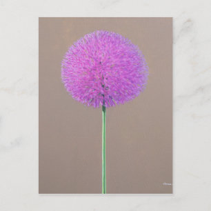 Alium Postcard