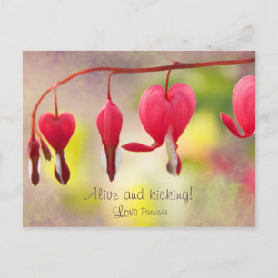 Alive and kicking! CC0193 Love, Patricia Postcard