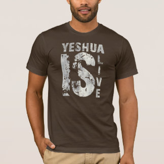Alive Yeshua is 43975 Gray T-Shirt
