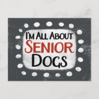 All About Senior Dogs Postcard