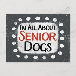 All About Senior Dogs Postcard