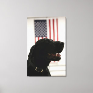 All-American Black Labrador Retriever Canvas Print