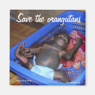 All Babies Need Love Magnet