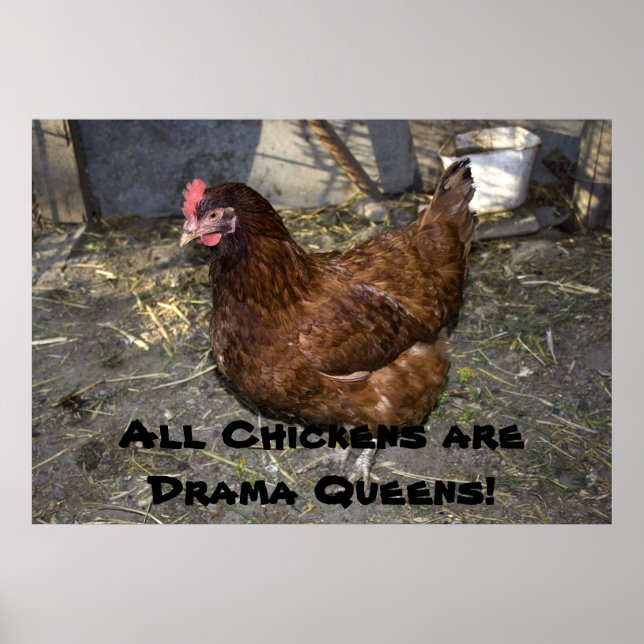 All Chickens are Drama Queens! Poster (Front)