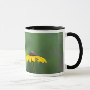 all clear mug