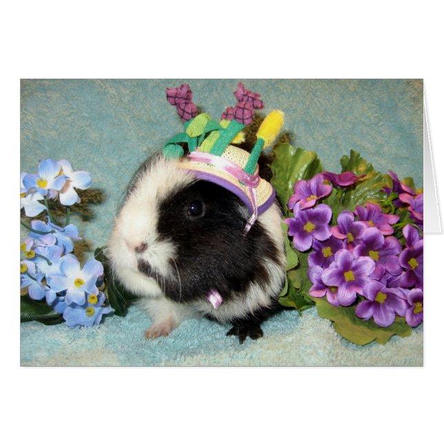 All Dressed Up (Front Horizontal)