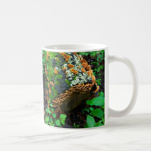All dressed up and nowhere to go nature art beauty coffee mug (Right)