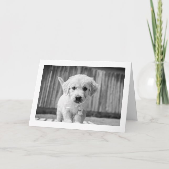 All Ears | Blank Card (Front)