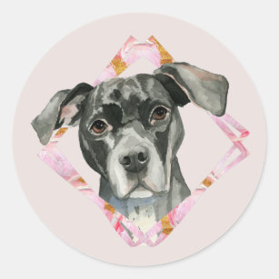All Ears   Cute Black Pit Bull Dog Illustration Classic Round Sticker