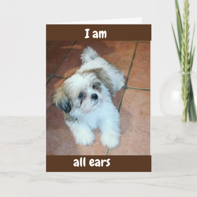 **ALL EARS/READY TO HEAR U HAD A HAPPY EASTER** HOLIDAY CARD (Front)