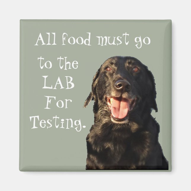 All food must go to the Lab refrigerator magnet. Magnet (Front)