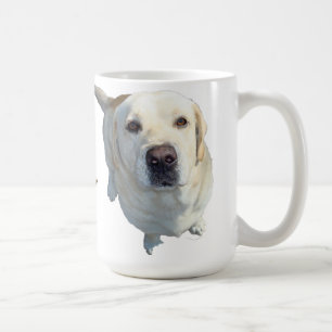 All food must go to the (yellow) Lab Coffee mug. Mug