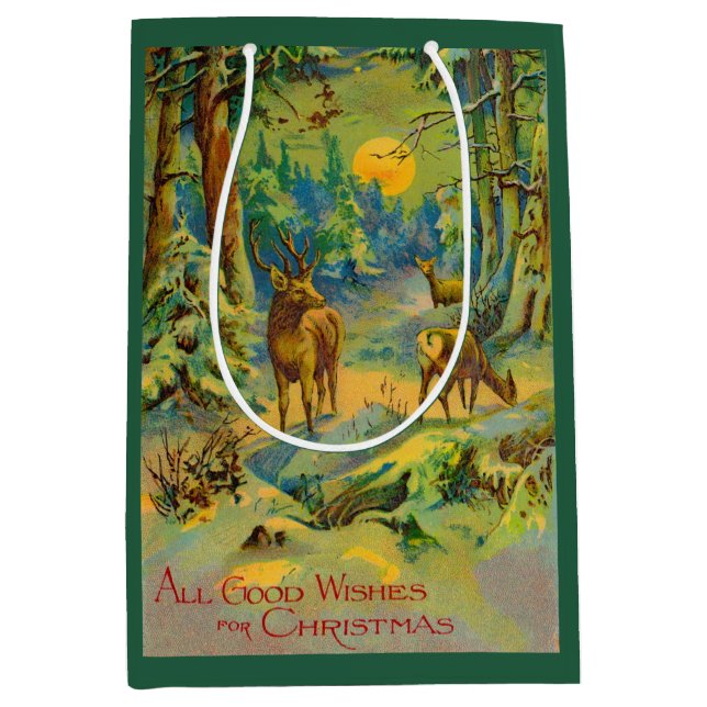 All Good Wishes for Christmas Medium Gift Bag (Front)