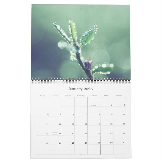All green 2011 Calendar (Jan 2026)