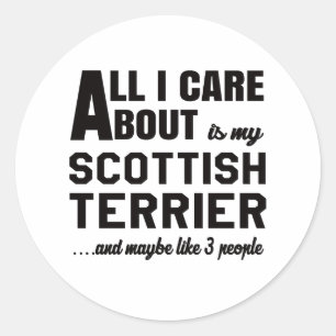 All i care about is my Scottish Terrier. Classic Round Sticker