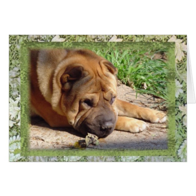 All I Have Are Memories (Front Horizontal)