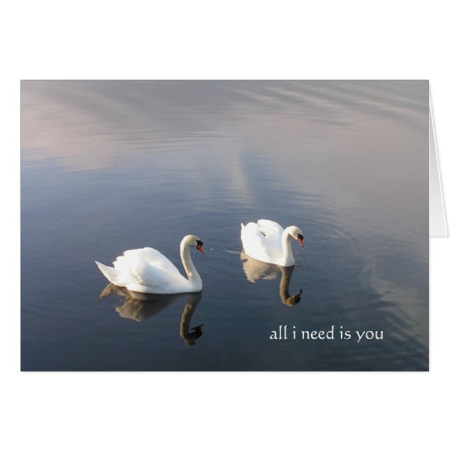 all i need is you (Front Horizontal)