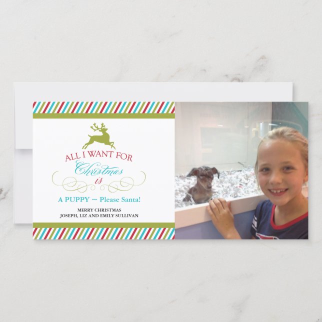 All I Want for Christmas Holiday Card (Front)