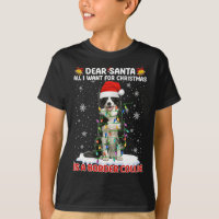 All I Want For Christmas Is Border Collie Santa Do