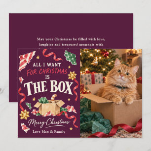 All I Want for Christmas Is the Box Cat Photo Holiday Card