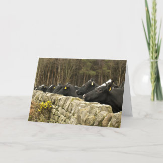 All in a Row Greeting Card