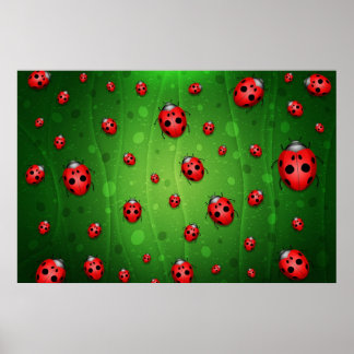All is Full of Ladybugs Poster