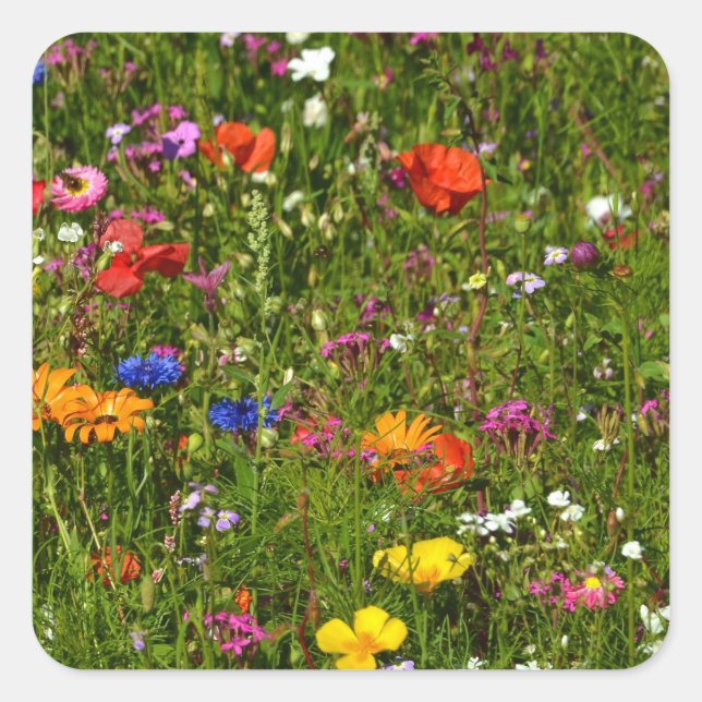 all kind of beautiful flowers square sticker (Front)
