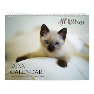 All Kittens Cute 2026 Wall Calendar Gift Cats