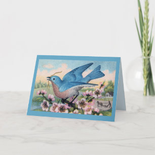 All Ocassion  Bluebird  Thank You Note