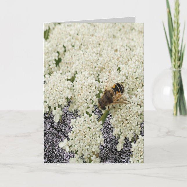 All Ocassion Queen Annes Lace Black Leather Card (Front)