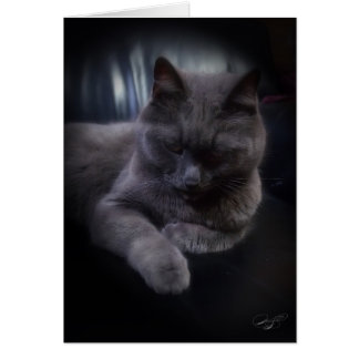 All Ocassions (blank) Card