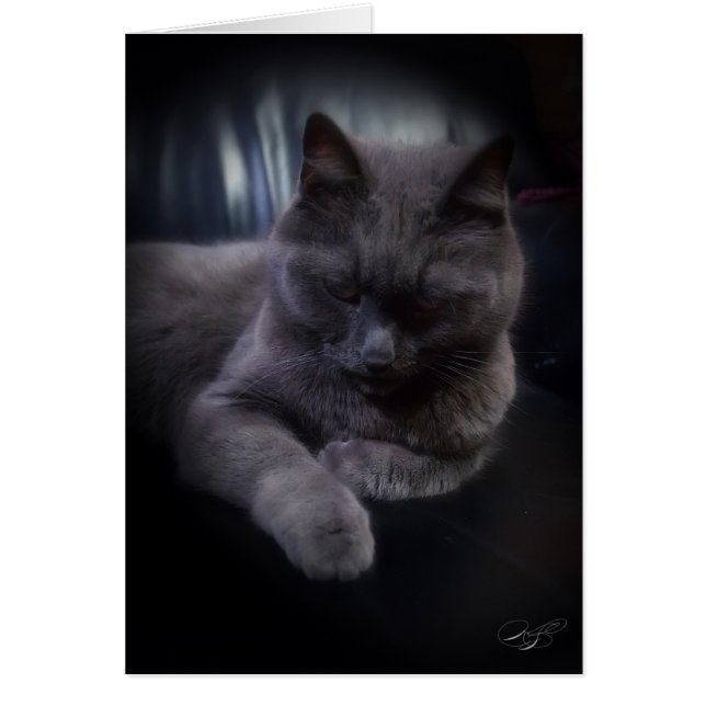 All Ocassions (blank) Card (Front)