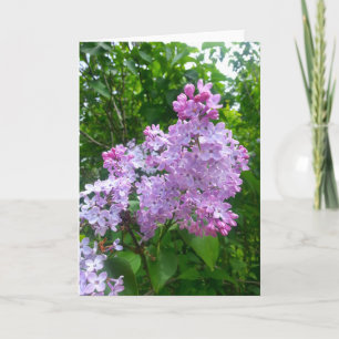 All Occasion Greeting Card (Blank Inside)