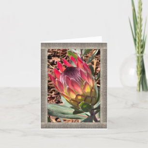 All-Occasion Note Card with Beautiful Protea