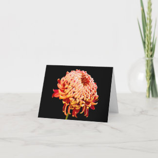 All Occasion Red Chysanthemum Note Greeting Card