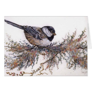 all occasion/sparrow