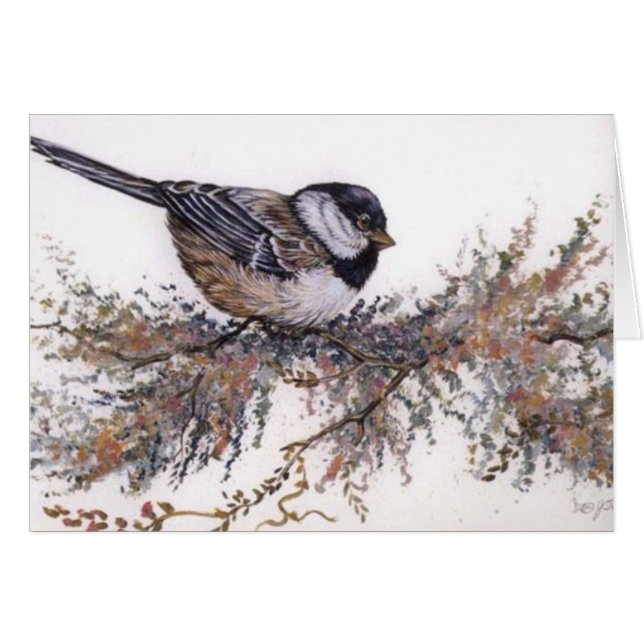 all occasion/sparrow (Front Horizontal)
