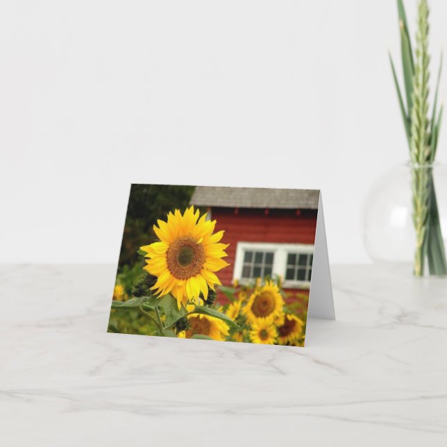 all occasion/sunflower card (Front)