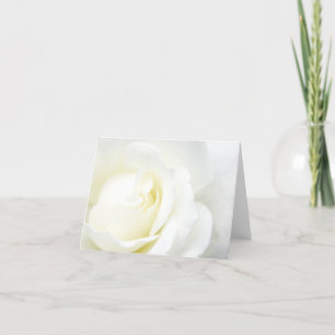 All Occasion White Rose Card