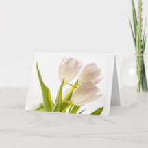 All-Occasion White Tulips Card