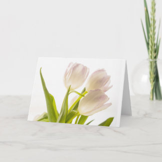 All-Occasion White Tulips Card