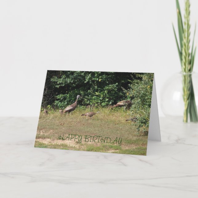 All Of Us Turkeys, Birthday Card (Front)