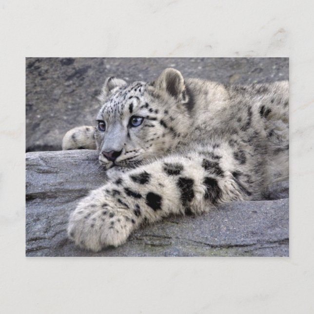 All Played Out Postcard (Front)