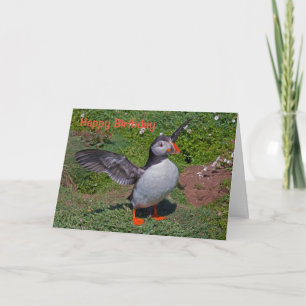 All Puffed Up Birthday Card (All your own message)