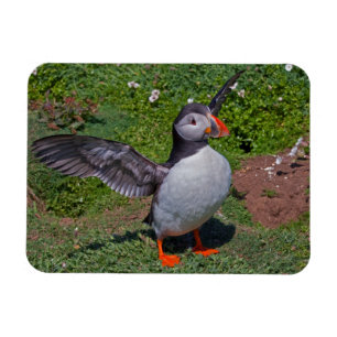 All Puffed Up Flexi Magnet