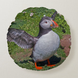 All Puffed Up Pillow