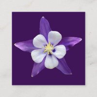 All Purpose Small Square Gift Gards