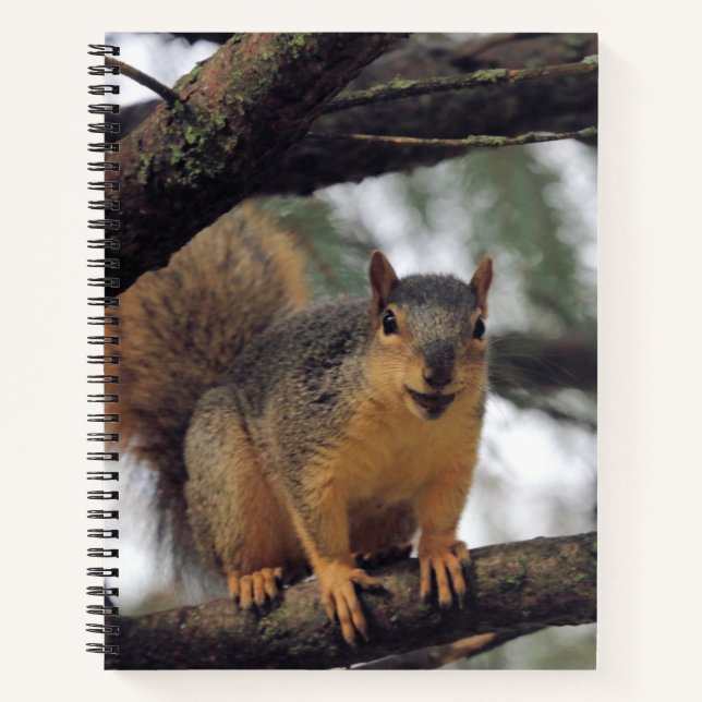 All smiles notebook (Front)